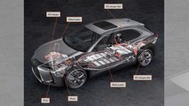 Lexus Seizes Toyota Efforts To Enter EV World With the UX 300e