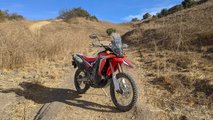 2019 Honda CRF250L RALLY - On The Trail