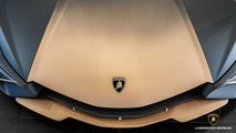 Lamborghini Sian FKP 37 Coklat Hidung Pengiriman