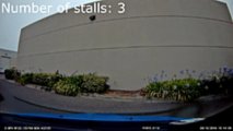 Ford Focus RS Stalled
