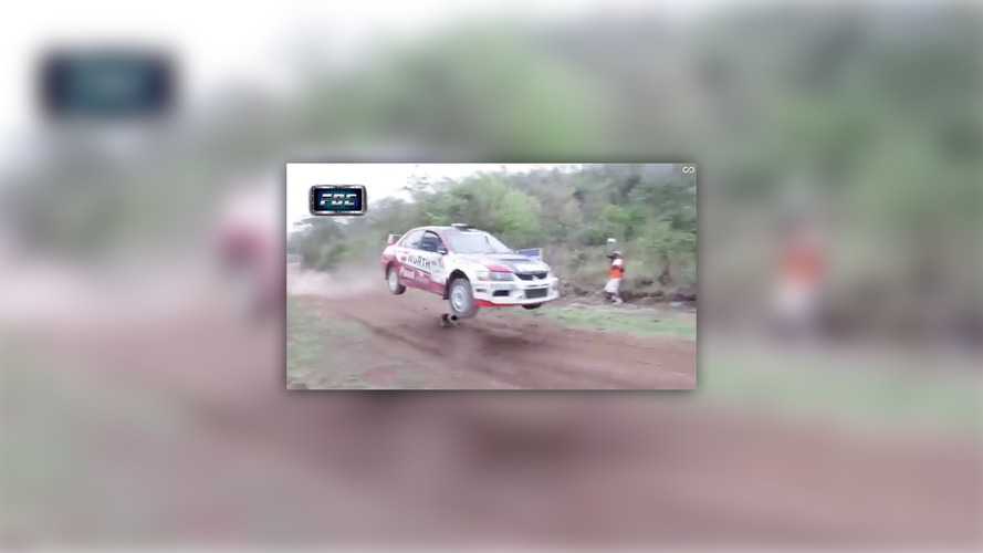 dogs News and Reviews