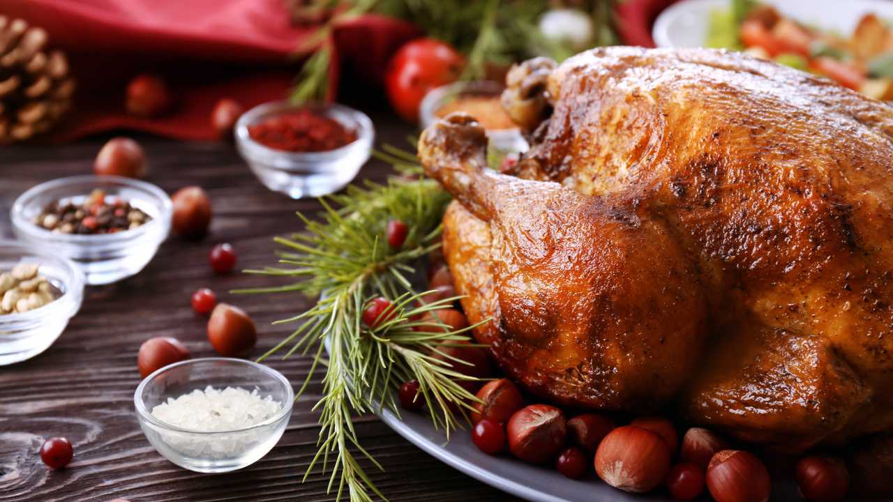 Tasty roasted turkey on plate