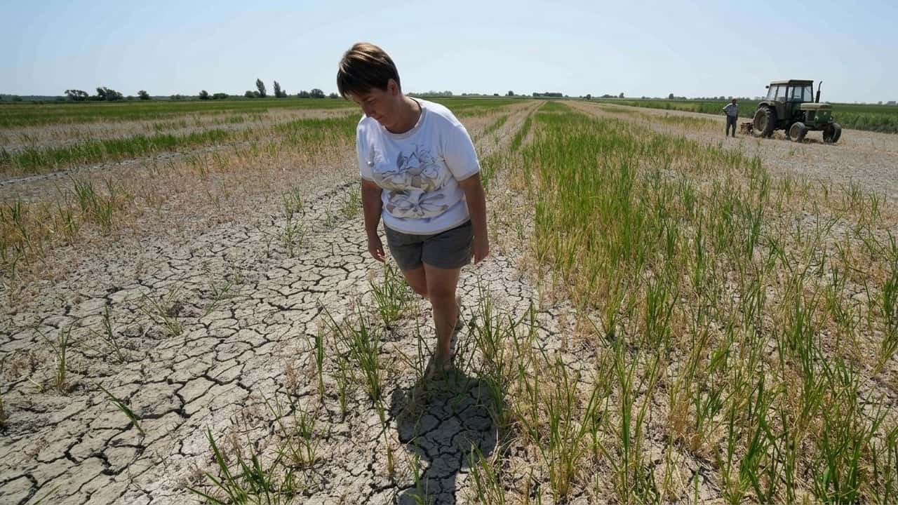 21-7-milioni-di-ettari-a-rischio-come-il-sale-danneggia-i-campi