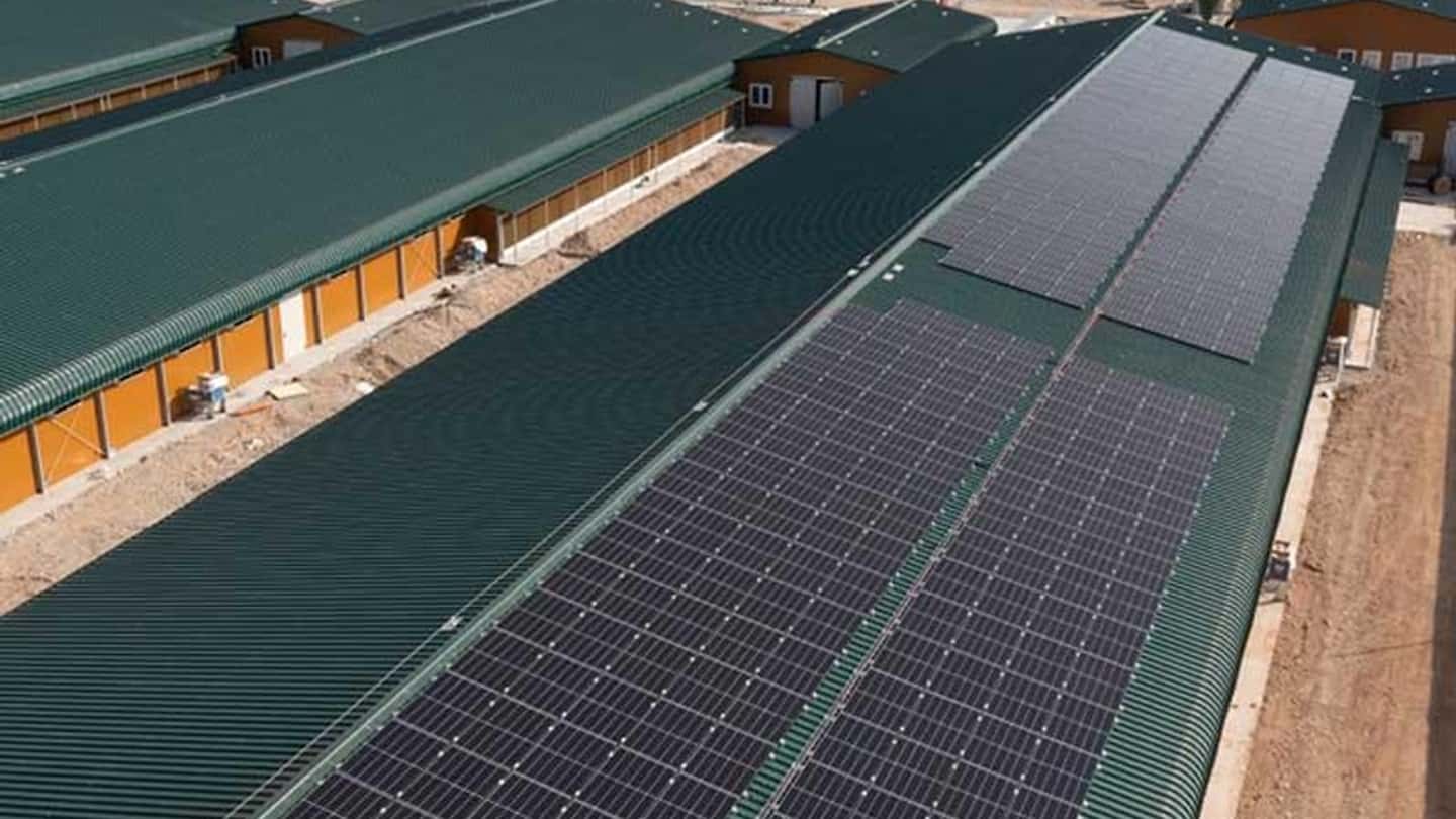 Fotovoltaico su stalle e capannoni con Parco Agrisolare 2026