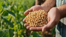 Bayer: trimestrale positiva grazie alla soia