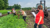 Controlli in agricoltura 2026: più ispettori contro il caporalato