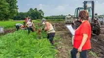 Controlli in agricoltura 2026: più ispettori contro il caporalato