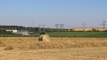 Rotopressa o pressa quadra per la paglia di orzo?