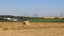 Rotopressa o pressa quadra per la paglia di orzo?