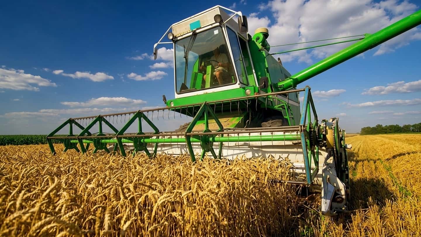 Frumento e rischi operativi quando saltano i passaggi chiave