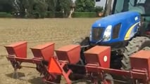 Pomodoro da industria sostenibile: irrigazione, suolo e meccanizzazione
