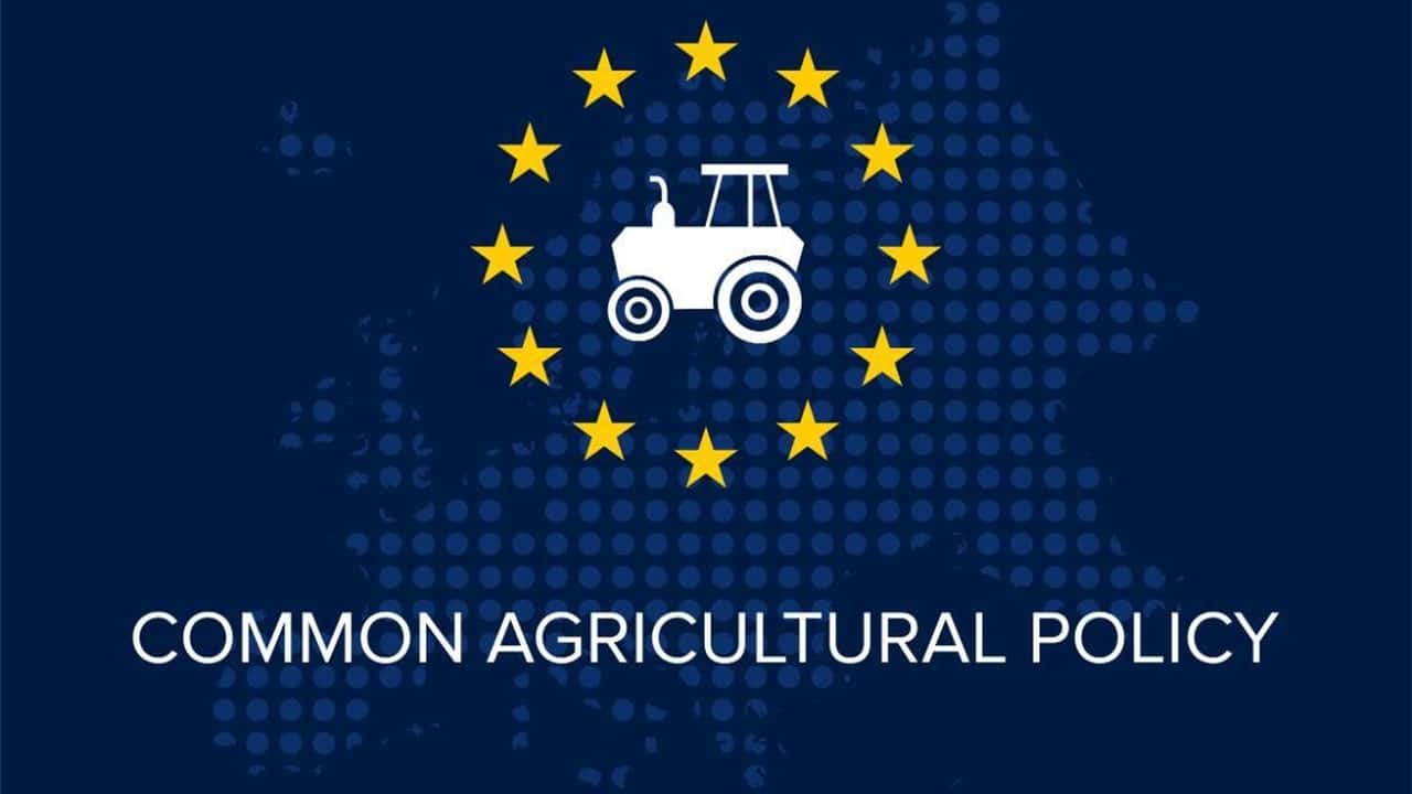 Italia e altri 15 Paesi chiedono di non tagliare agricoltura e coesione nel bilancio Ue 2028-2034. Francia e Germania vogliono più fondi per difesa e ricerca