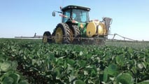 Applicare il modello 4R alla fertilizzazione della soia per pianificare fonte, dose, momento e posizione dei nutrienti riducendo le emissioni di N2O