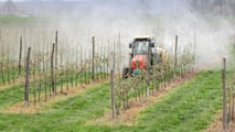 Strategie per alternare SDHI, DMI e zolfo nei trattamenti contro la ticchiolatura del melo riducendo il rischio di resistenze e mantenendo l’efficacia dei fungicidi

