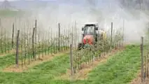 Strategie per alternare SDHI, DMI e zolfo nei trattamenti contro la ticchiolatura del melo riducendo il rischio di resistenze e mantenendo l’efficacia dei fungicidi
