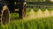 Stay green del frumento: integrare varietà, fungicidi e biostimolanti