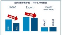 Import componenti NORDAMERICA