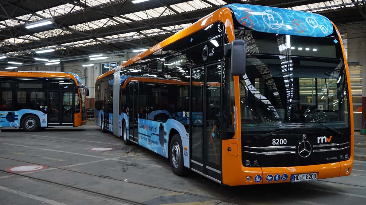 I primi tre Mercedes eCitaro G per Rhein-Neckar-Verkehr GmbH
