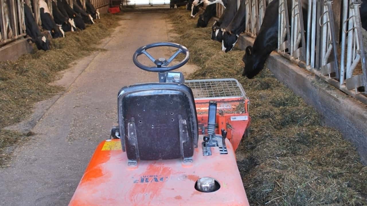 Crisi carni bovine: Italia dipende dall'estero per il 63%