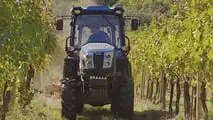 Solis N90 Frutteto: trattore indiano per vigneti italiani?