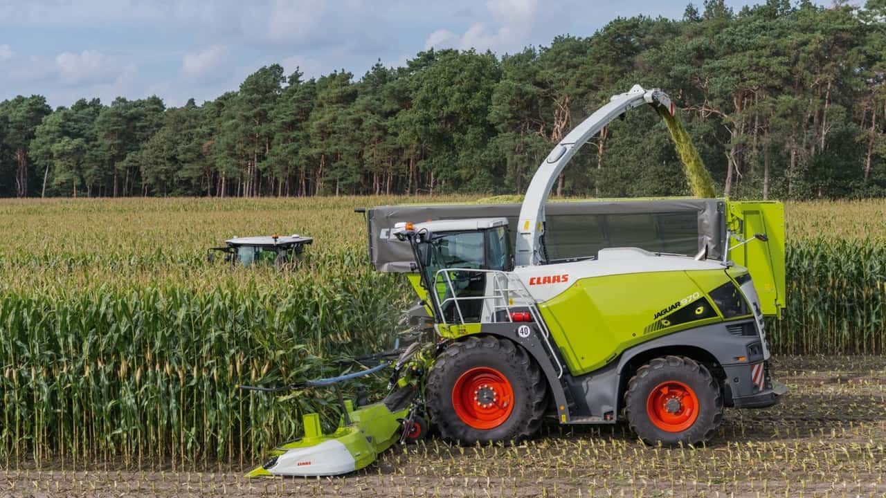 CLAAS: trincia JAGUAR con CEMOS AUTO KNIFE CONDITION e pacchetti GREEN EYE 2026