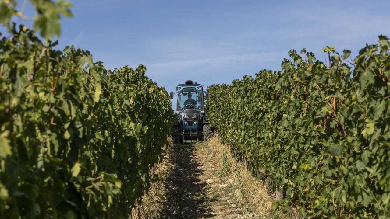 Landini e Best Wine Stars insieme