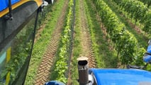 Foto - New Holland Braud 9090 L vendemmiatrice polivalente