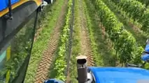 Foto - New Holland Braud 9090 L vendemmiatrice polivalente