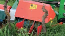 Foto - Olmi dissertatrice meccanica BIO a Enovitis Extreme