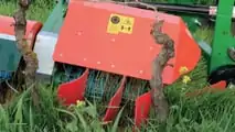 Foto - Olmi dissertatrice meccanica BIO a Enovitis Extreme