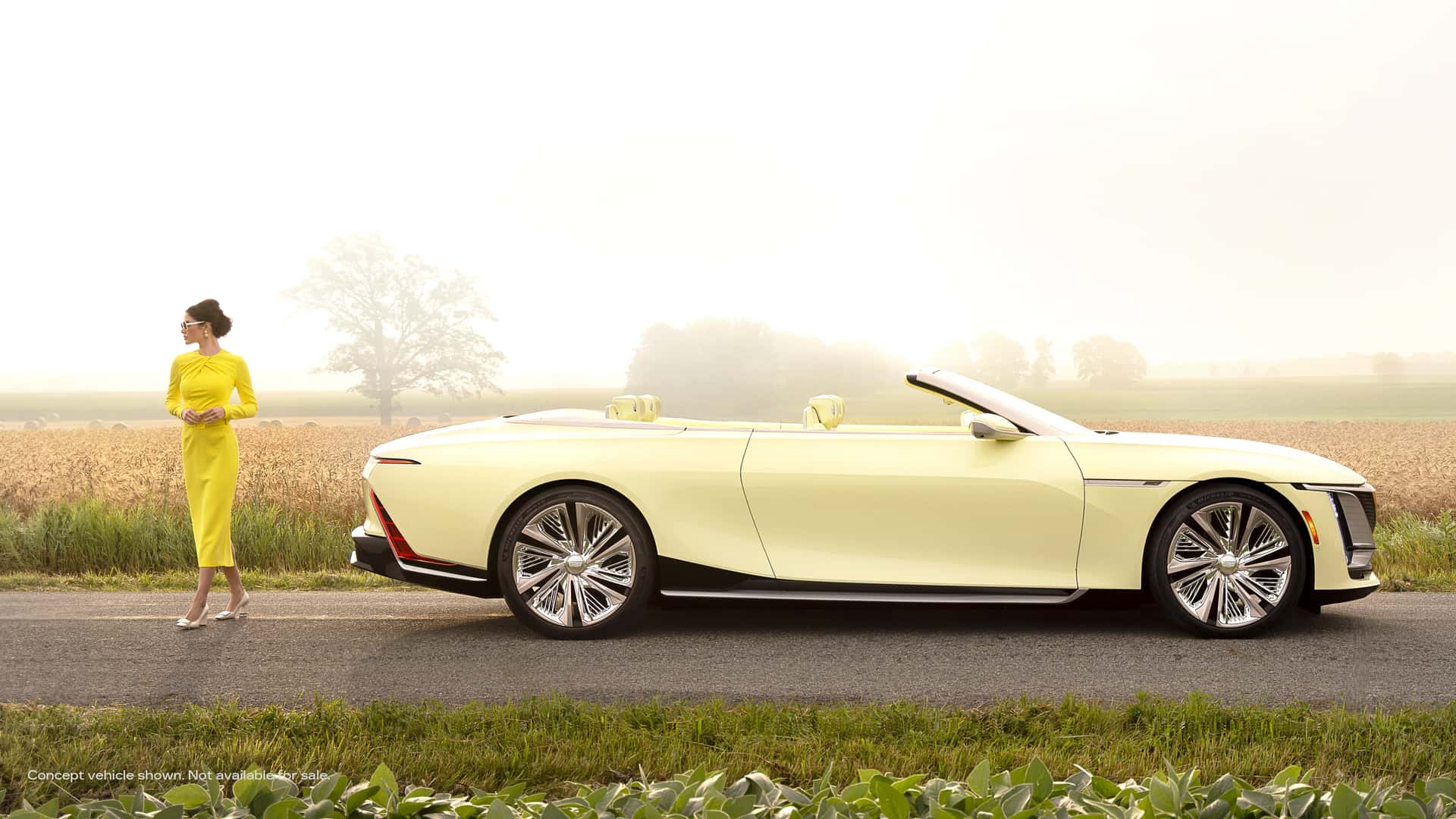 cadillac-sollei-concept.jpg