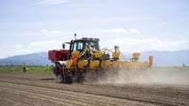 MaterMacc: seminatrice di precisione MS8230 e tramoggia frontale SVA Elektro