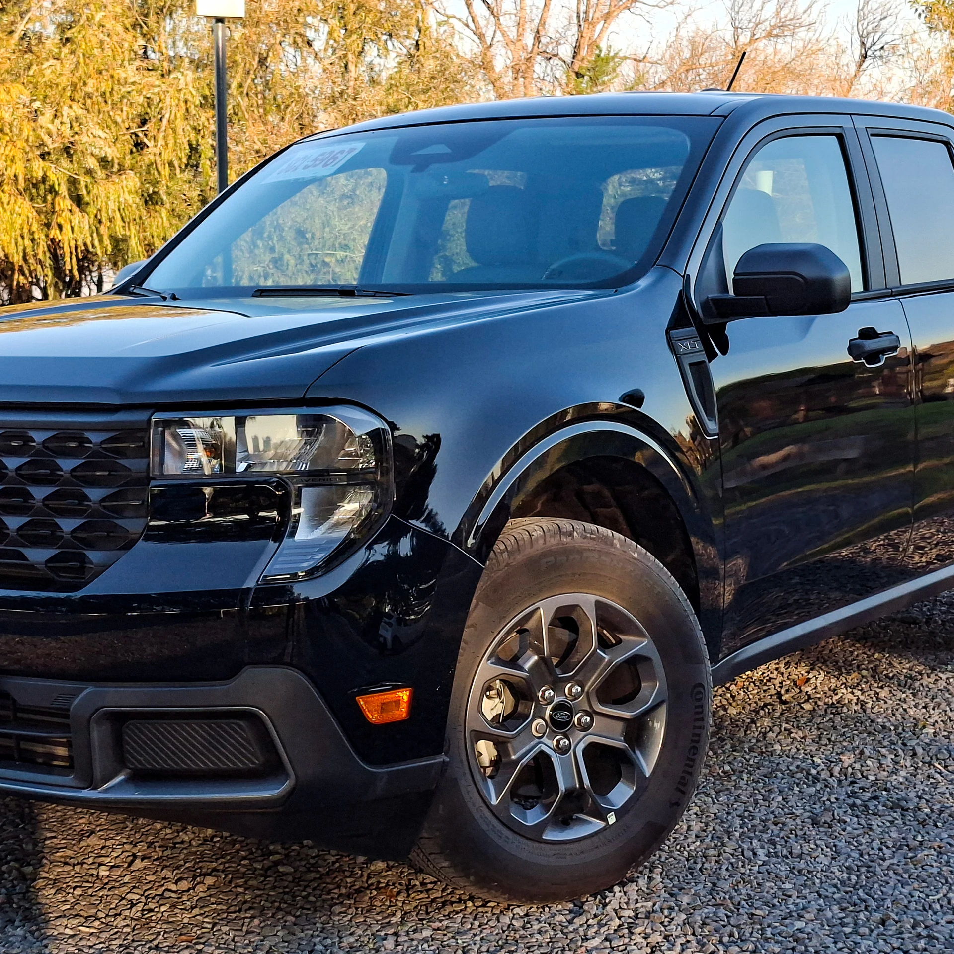 Her alluring figure commanding attention