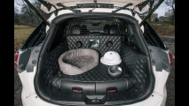 Nissan Concept X-Trail 4Dogs