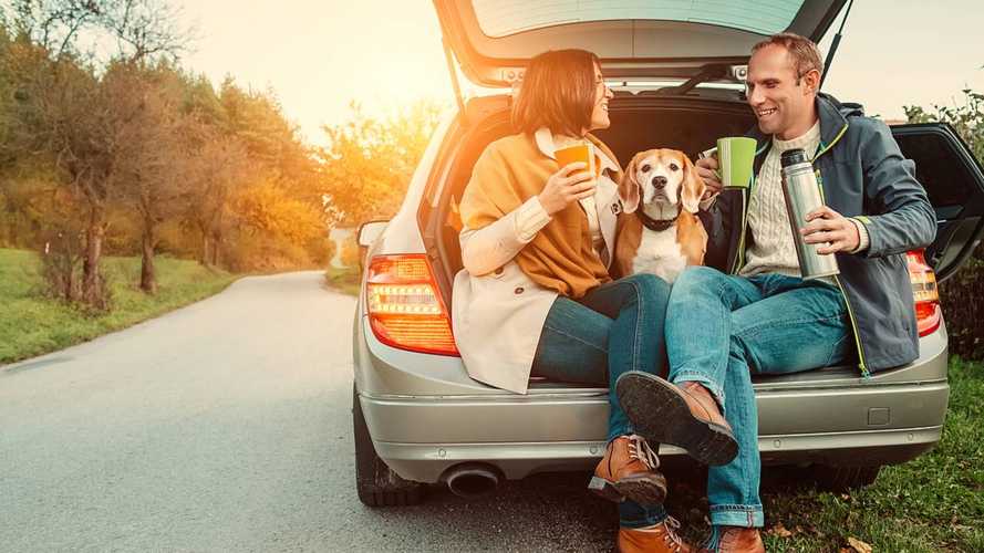 Couple tea party in car with dog sitting in car boot