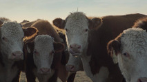 Chevrolet Super Bowl Commercial