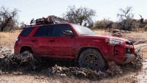 2020 Toyota 4Runner Venture Edition