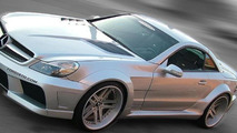 Mercedes SL-Class widebody by Misha Designs, 1000, 25.10.2010