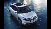 Franzosen-Tiguan