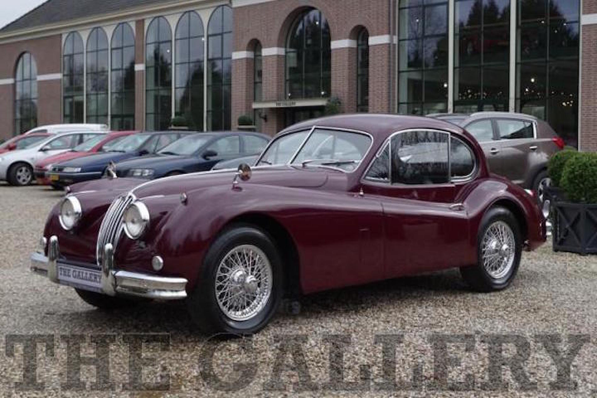 Is This the Movie Jaguar No One Noticed, Or Just a Hoax?