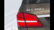 Bergpassziege und Autobahnelefant