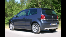 Blauer Sparzwerg