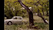50 Jahre Renault Dauphine
