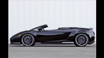 Spyder-Hamann