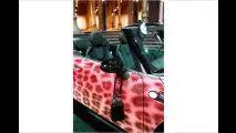 Leoparden-Mini in Wien