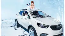Opel Grumpy Cat Calendar