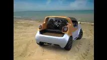 smart forsea