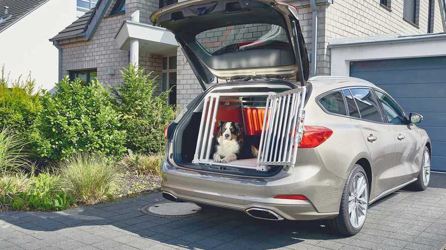 Das passende Auto für Hundebesitzer