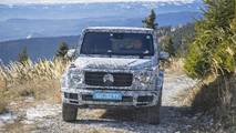 2019 Mercedes G-Class preview