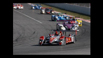 Audi Le Mans, 16 anni di successi